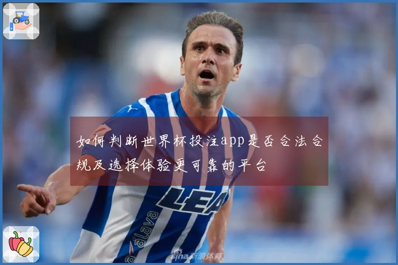 如何判断世界杯投注app是否合法合规及选择体验更可靠的平台